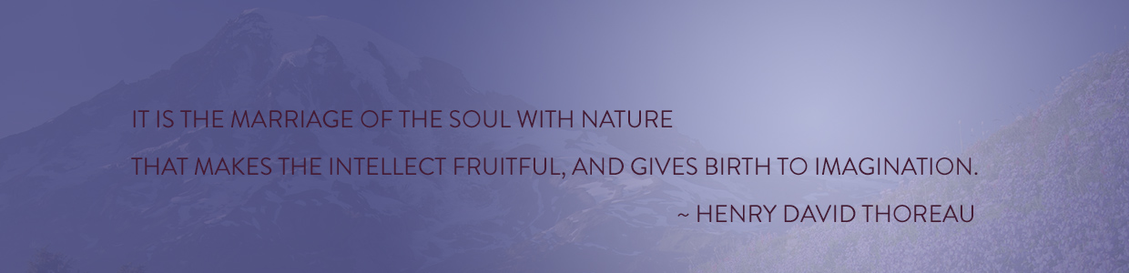 quote image - it is the marriage of the soul with nature that makes the intellect fruitful and gives birth to the imagination.